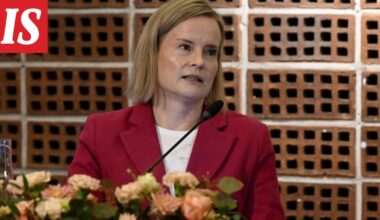 Purra: Suomi voisi keventää verotusta edelleen – ”Liiallinen tasapäistäminen ja holhoaminen ei toimi”