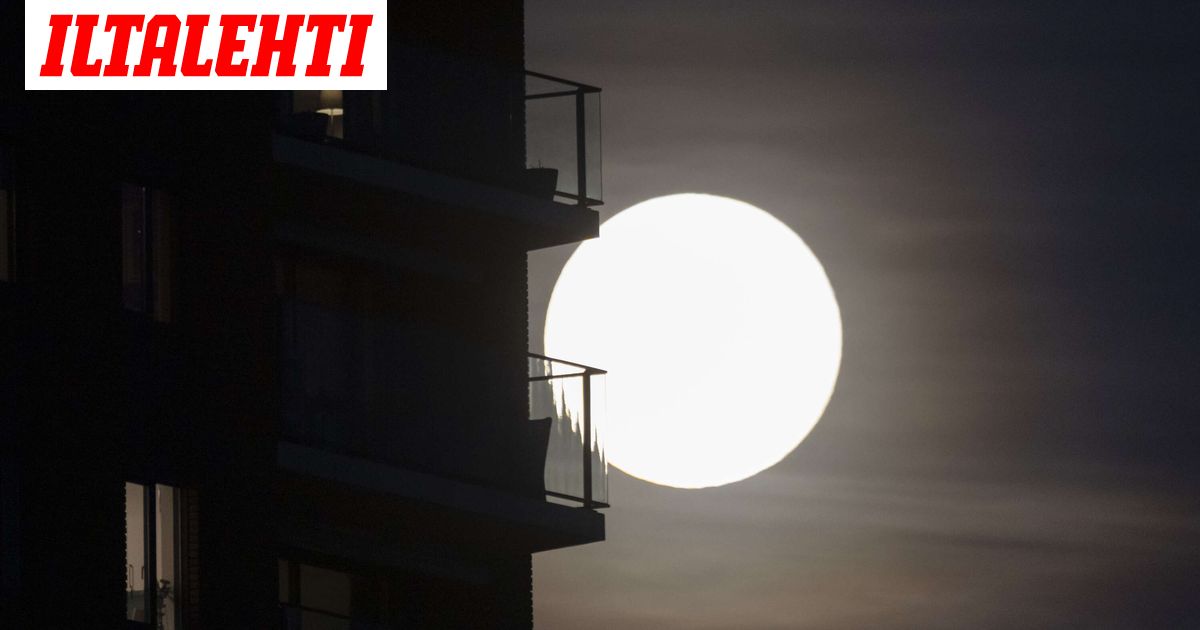 Suomalaiset istuvat kultasuonen päällä, eivätkä edes tajua sitä, hämmästelee tutkija – Puhuu miljardien saumasta