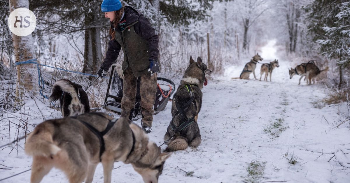 Näin ilmastonmuutos vaikuttaa ihmisten työpaikkoihin, terveyteen, hintoihin kaupassa, tienpitoon Suomessa, Euroopassa ja maailmalla