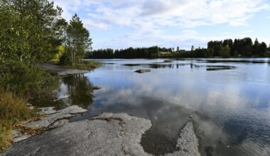 Kymijoesta löytyi uusi matolaji – tällainen se on - Uutiset kotimaasta ja maailmalta