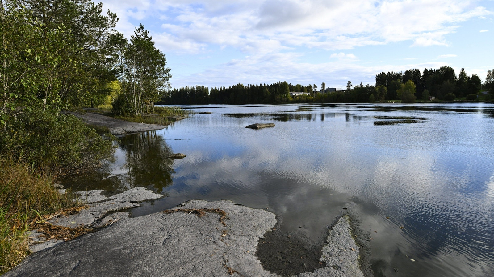 Kymijoesta löytyi uusi matolaji – tällainen se on - Uutiset kotimaasta ja maailmalta