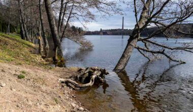 Kymijoesta löytyi uusi matolaji – se on laajalle levinnyt mutta harvoin löydetty | Uutisia lyhyesti