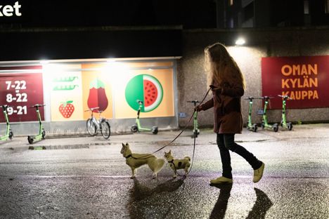 Milla Vanhala lenkittää Cindyä (vas.) ja Yukia nykyään lähinnä asfalttipoluilla. Vakioreitti kulkee K-marketin kuvetta.