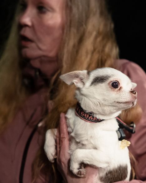 ”Yuki on virallisesti minun tyttäreni koira, mutta minä olen sen mamma”, Milla Vanhala kertoo.