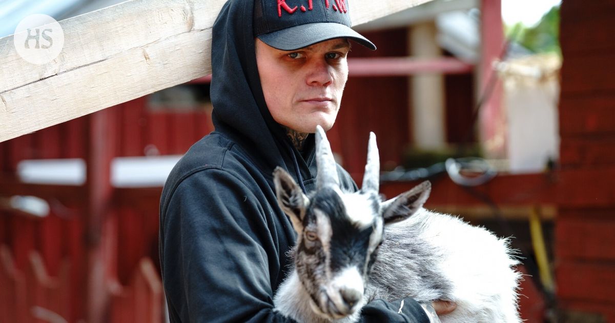 Televisio | Kolme uutuusohjelmaa, jotka tulevat ruutuun tällä viikolla - HS.fi