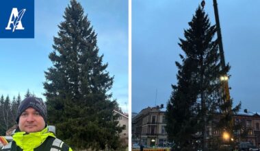 Keskustorin joulukuusi vaihtui lennossa toiseen – alkuperäinen puu katkesi nostettaessa