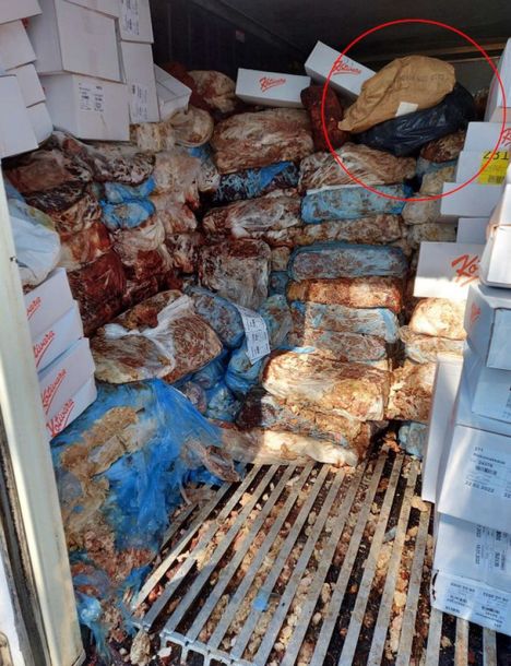 Sulo Karjalaisen kodin lähimaastossa oli pakastekontti, jossa haisi mädäntyeelle. Kasan päällä säkeissä oli eläinten ruumiita.