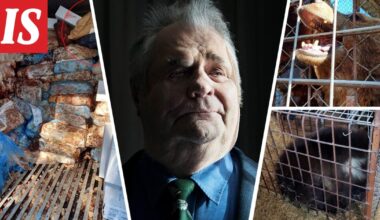 Tällaisen tuomion Sulo Karjalainen sai