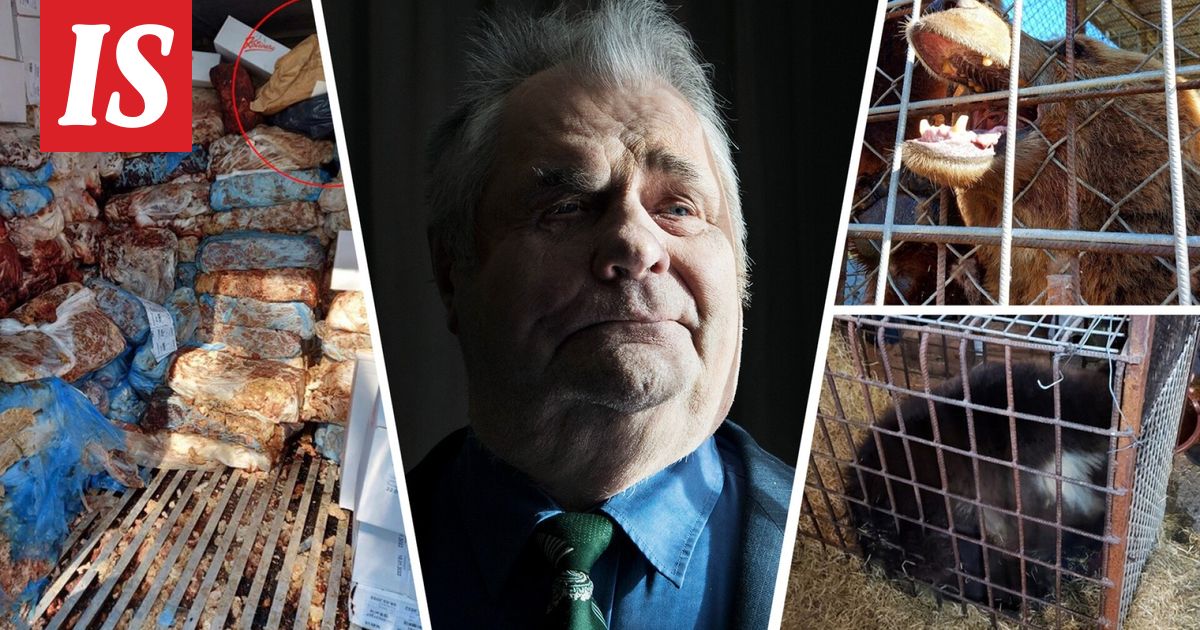 Tällaisen tuomion Sulo Karjalainen sai