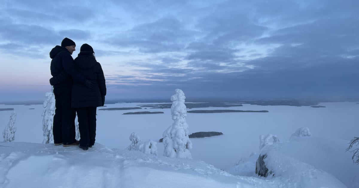 Kolin kansallispuistoon on liitetty uusi alue – harvinaisen laajennusosan pinta-ala on noin kymmenen hehtaaria | Pohjois-Karjala