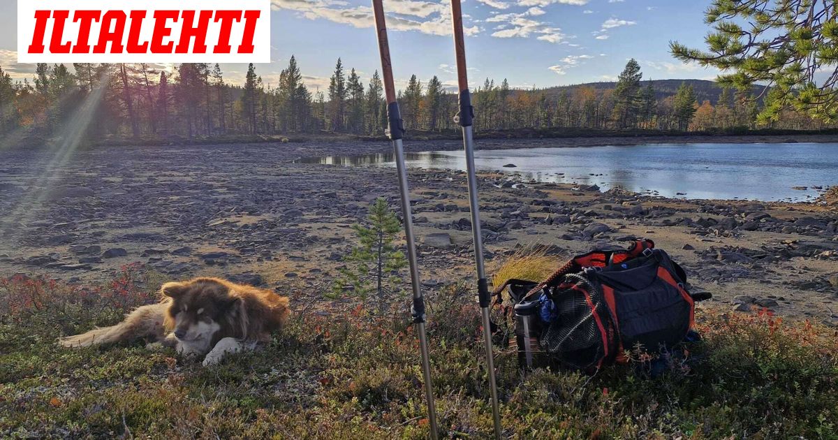 Lapissa rikkoutui tuhansia vuosia vanha ennätys, kertoo tutkimus