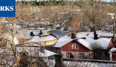 Puunpolton haitoista vain vähän ilmoituksia Naantalissa