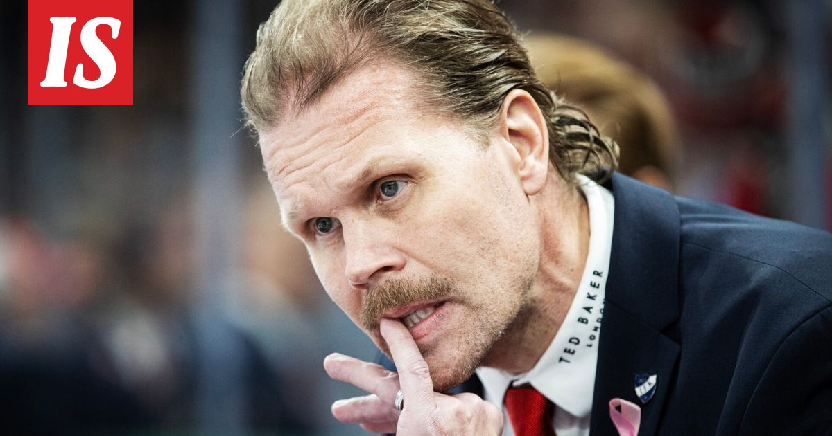 HIFK heittää kehiin kolme 17-vuotiasta keltanokkaa – ensi viikolla on ”Suomi-kiekon tuomiopäivä” - Ilta-Sanomat