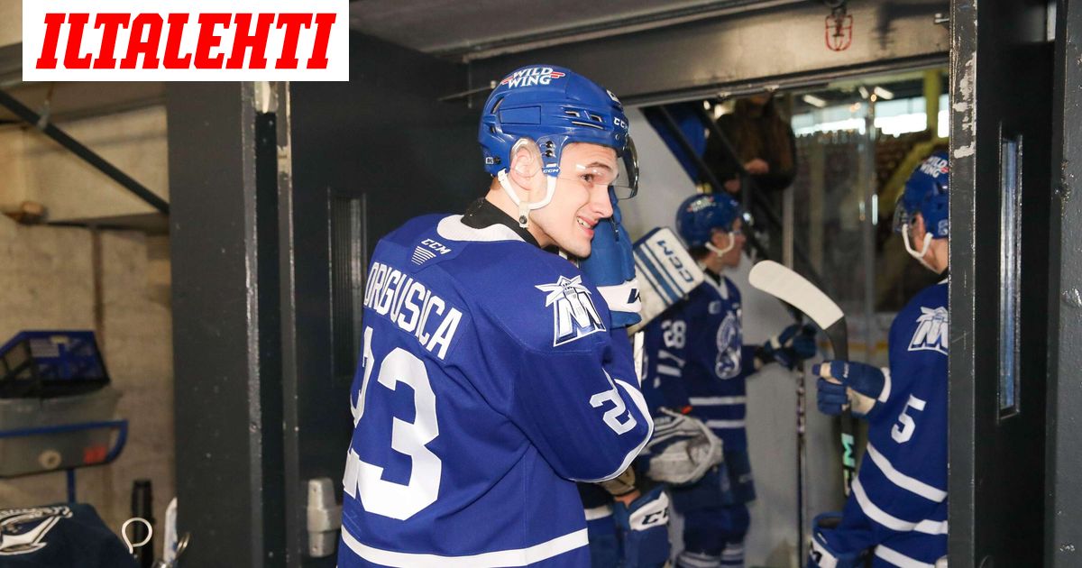 Nuorukaisen törkeä teko järkytti Kanadassa – Seurauksena jättipanna