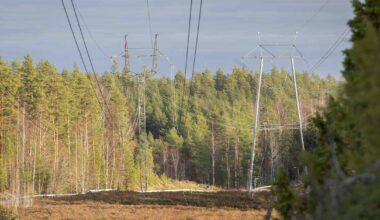 Markkinaoikeus hylkäsi sähköyhtiöiden valituksen – päätös on hyvä uutinen kuluttajalle, sanoo professori | Uutisia lyhyesti