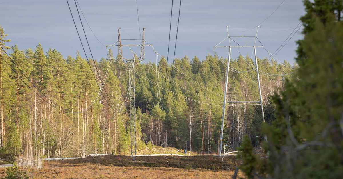 Markkinaoikeus hylkäsi sähköyhtiöiden valituksen – päätös on hyvä uutinen kuluttajalle, sanoo professori | Uutisia lyhyesti