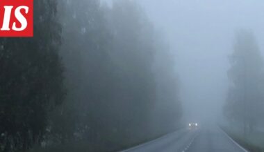 Tarutuuli havahtui autioon näkyyn autotiellä – ”Nyt on tosi kyseessä”