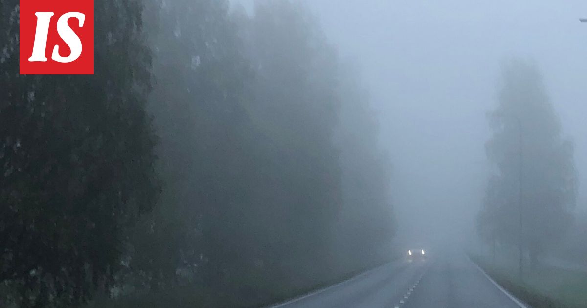 Tarutuuli havahtui autioon näkyyn autotiellä – ”Nyt on tosi kyseessä”