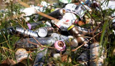 Valvontatehtävät kuormittavat Janakkalan ympäristönsuojelua | Kanta-Häme