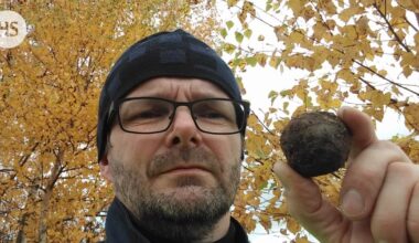 Lieksan avaruuskivi on todellinen harvinaisuus – ”Jännä tunne ottaa se käteen”