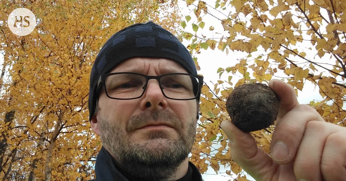 Lieksan avaruuskivi on todellinen harvinaisuus – ”Jännä tunne ottaa se käteen”