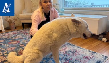 Vakavasti sairastunut Minna Ala-Heikkilä näki ruokakaupassa erään pariskunnan ja tajusi jotain olennaista