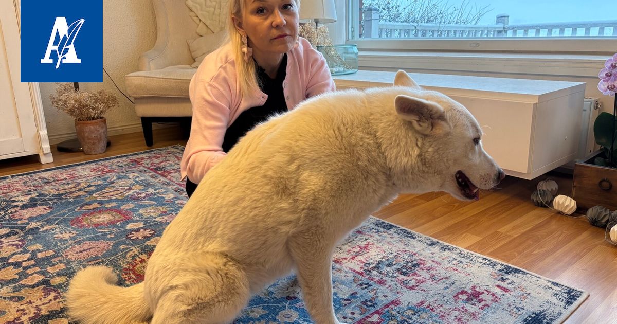 Vakavasti sairastunut Minna Ala-Heikkilä näki ruokakaupassa erään pariskunnan ja tajusi jotain olennaista