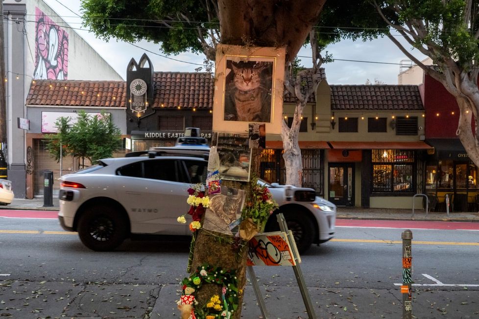 Kit Katia muistellaan lämmöllä sen kotikulmilla San Franciscossa. Rakastetusta kissakaverista on tullut teknologiaa ja automaatiota vastustavan kamppailun symboli sen jälkeen kun Waymo-taksi ajoi sen ylitse. 