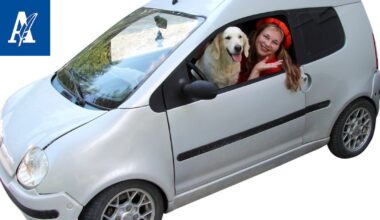 Marraskuun iltahämärissä Sirkka nostaa kauriiden pernakattilan tulille