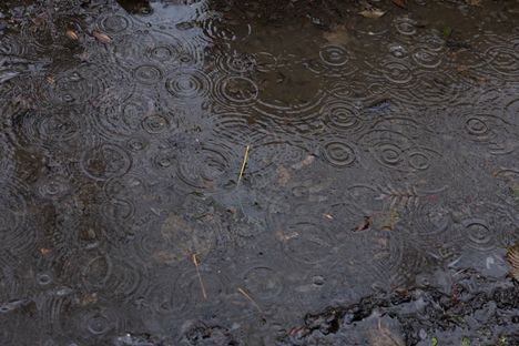 Viikon edetessä sateet muuttuvat suuressa osassa maata vedeksi.