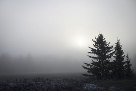 Sää jatkunee suuressa osassa maata varsin harmaana.