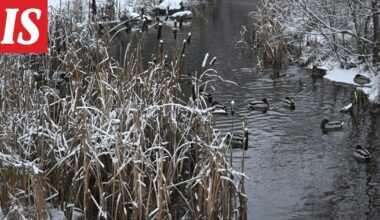 Suomi jakautuu kahtia – uusi ennuste julki