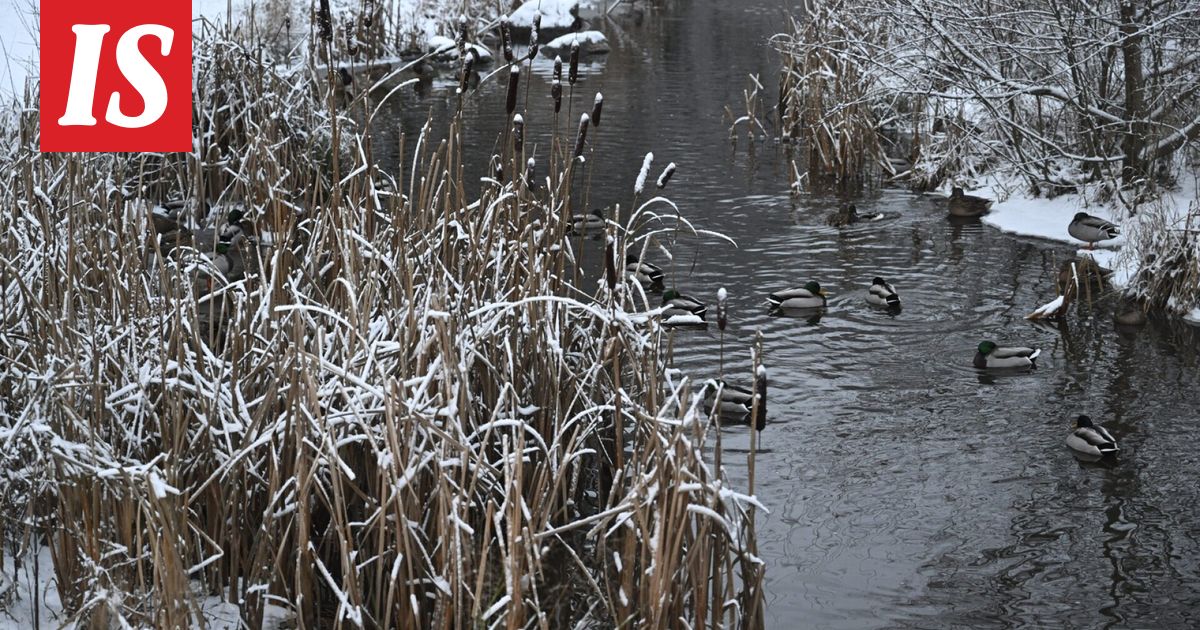 Suomi jakautuu kahtia – uusi ennuste julki