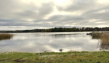 Dragsvikin onnettomuudesta tuomitut valittavat hovioikeuteen | Uusimaa