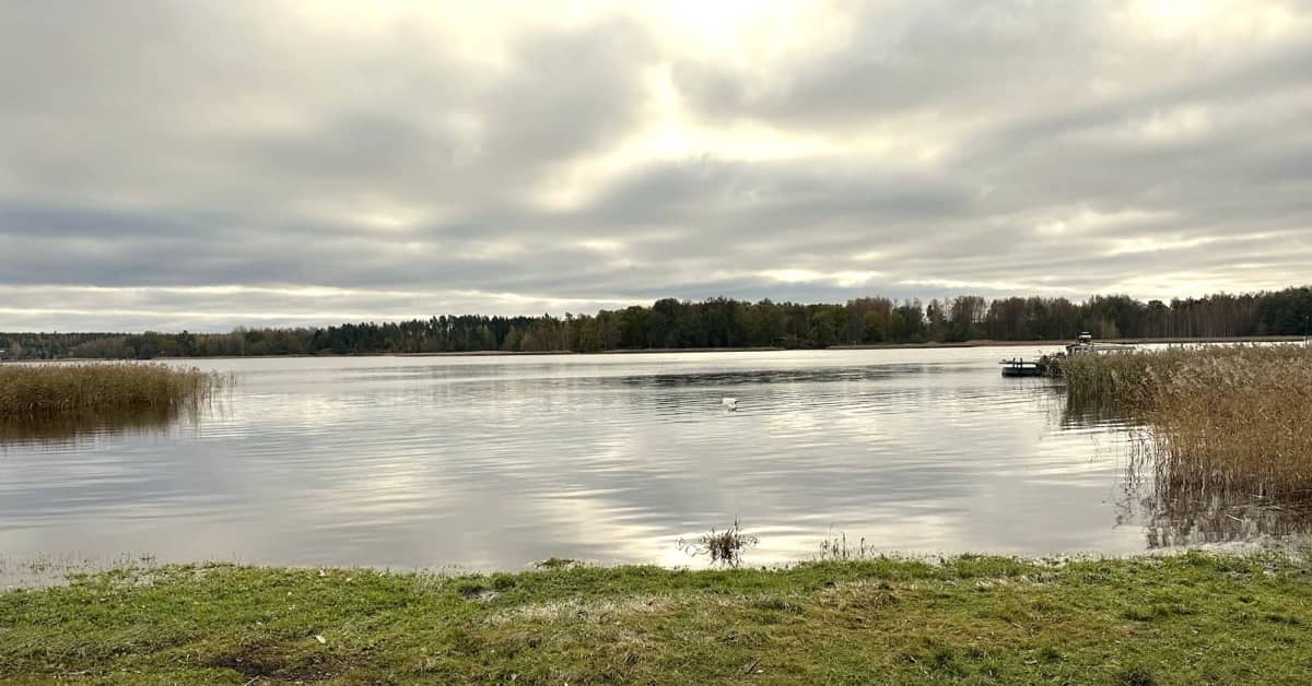 Dragsvikin onnettomuudesta tuomitut valittavat hovioikeuteen | Uusimaa