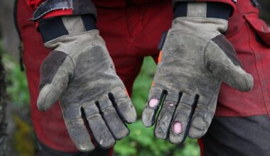 IS: Työnhakijoiden motivaatio kadonnut ‒ ”liian laiskoja ottamaan työtä vastaan” - Uutiset kotimaasta ja maailmalta