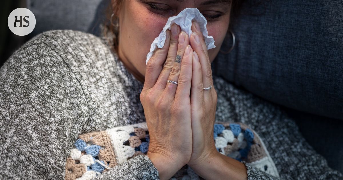 THL: Influenssakausi alkamassa tavallista aikaisemmin, muuntunut virus leviää