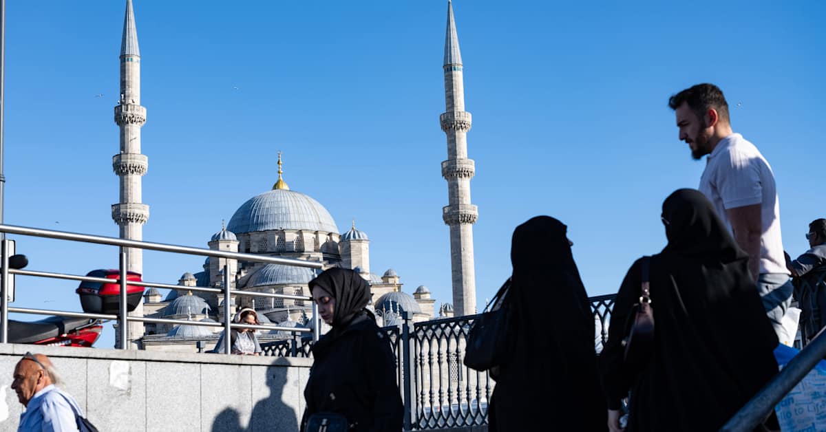 Hyönteismyrkyn aiheuttama myrkytys vahvistui turistien kuolinsyyksi Istanbulissa | Uutisia lyhyesti