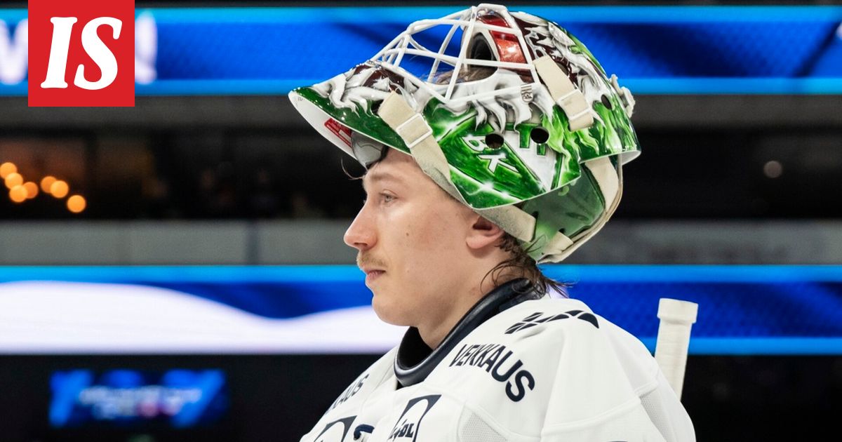 Leijonat: Emil Larmi rajussa sanasodassa ruotsalaisen kanssa
