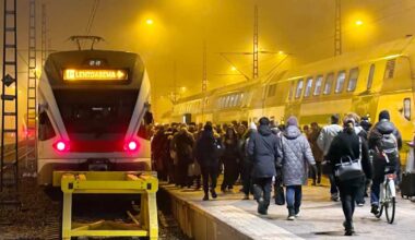 Joutsen estää junaliikenteen kulun Helsingin Töölönlahdella | Kotimaa