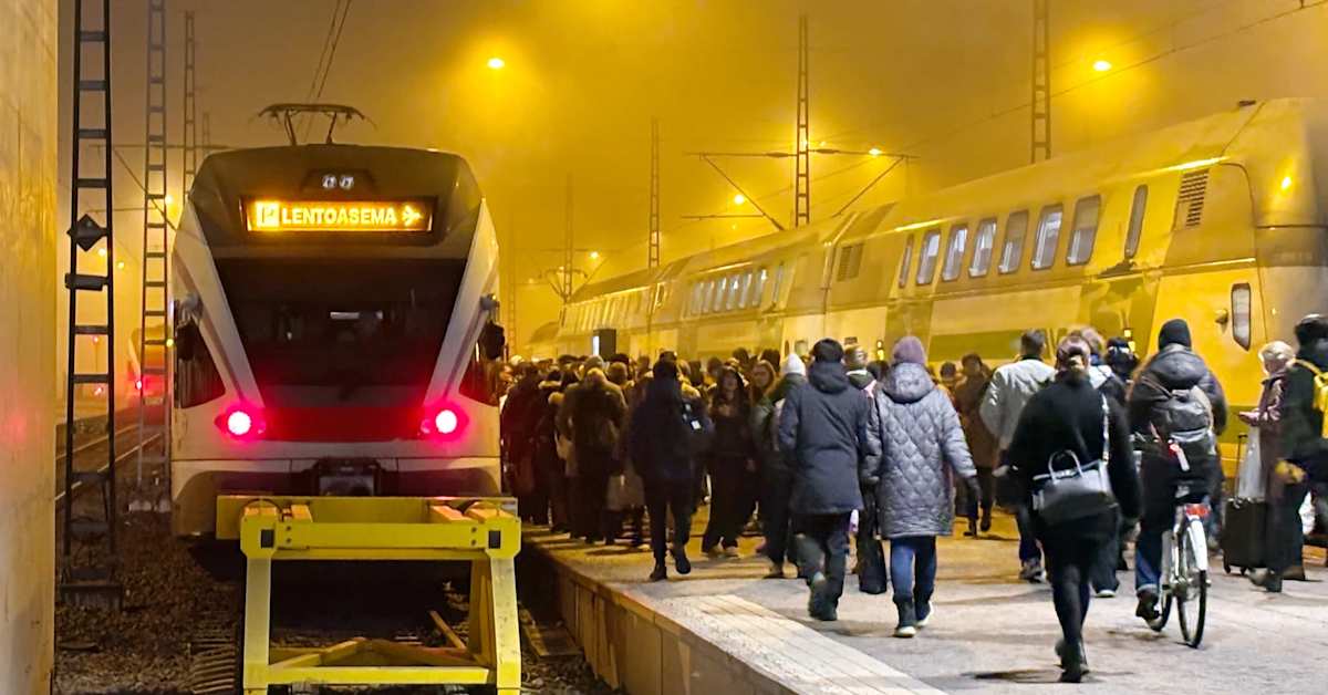 Joutsen estää junaliikenteen kulun Helsingin Töölönlahdella | Kotimaa