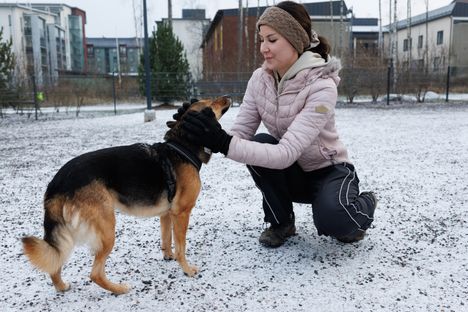 Rescue-koira Kiivi pyytää rapsutuksia emäntä Janna Saaristolalta. Saaristola ihmettelee vaatimusta siirtää koirapuisto pois asutuksen keskeltä. ”Eikö se juuri ole koirapuiston idea?”