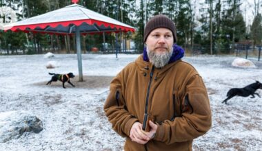 Oikeus: Koiran haukku ei ole tavallista melua, joten koirapuisto rikkoo lakia