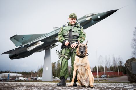 Vuoden sotakoira Ragnar.