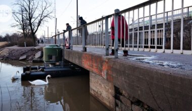 Joutsenet hakeutuvat junaradalle Töölönlahdella | HS.fi