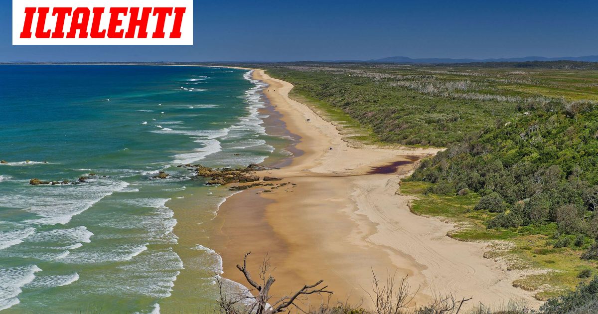 Hai surmasi naisen turistikohteessa – Ruotsalaisväite levisi Australiassa