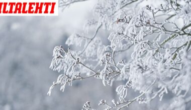 Nyt on käynnissä iso romahdus, etkä huomannut mitään – Valtavat vaikutukset