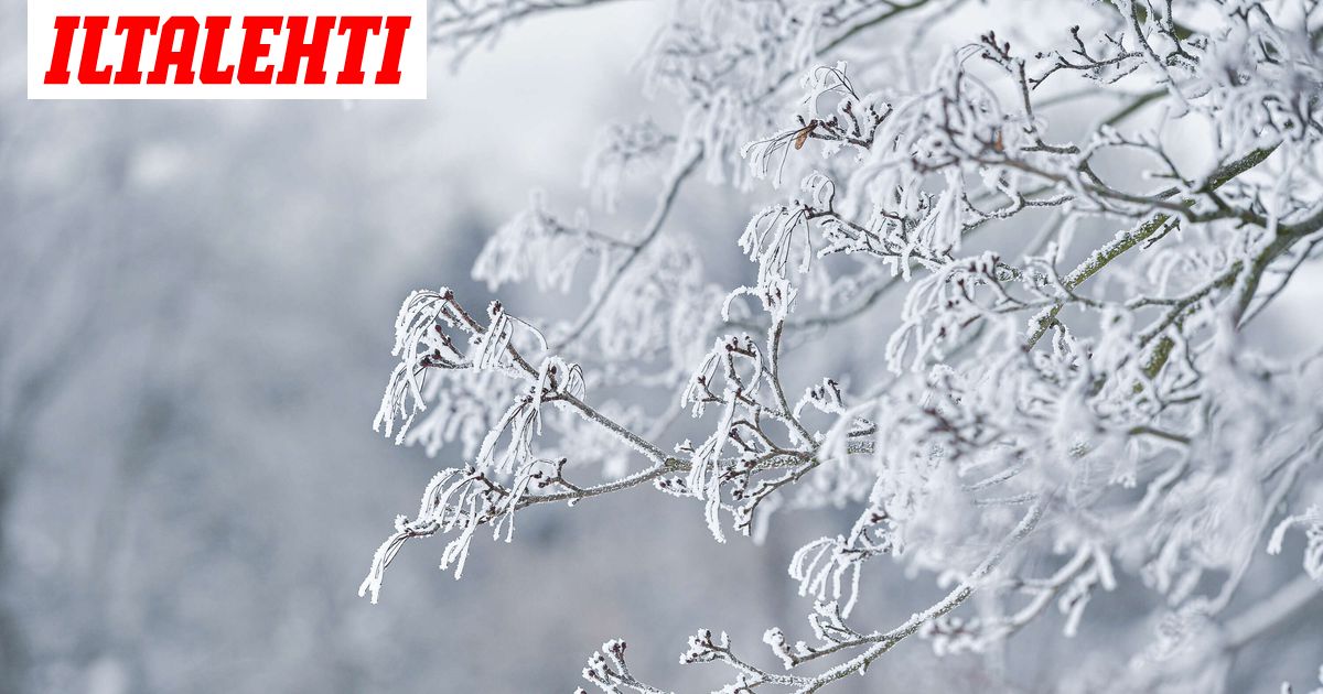 Nyt on käynnissä iso romahdus, etkä huomannut mitään – Valtavat vaikutukset