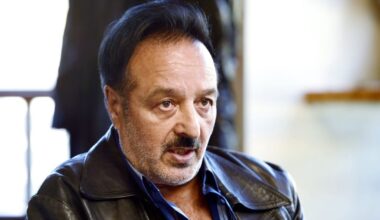 Stubb peruutti Veijo Baltzarin arvonimen