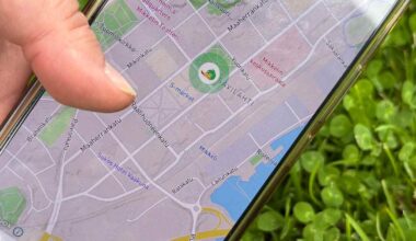 Lupiinien tuhoamisesta maksava peli sai Paras luontoteko -palkinnon | Uutisia lyhyesti